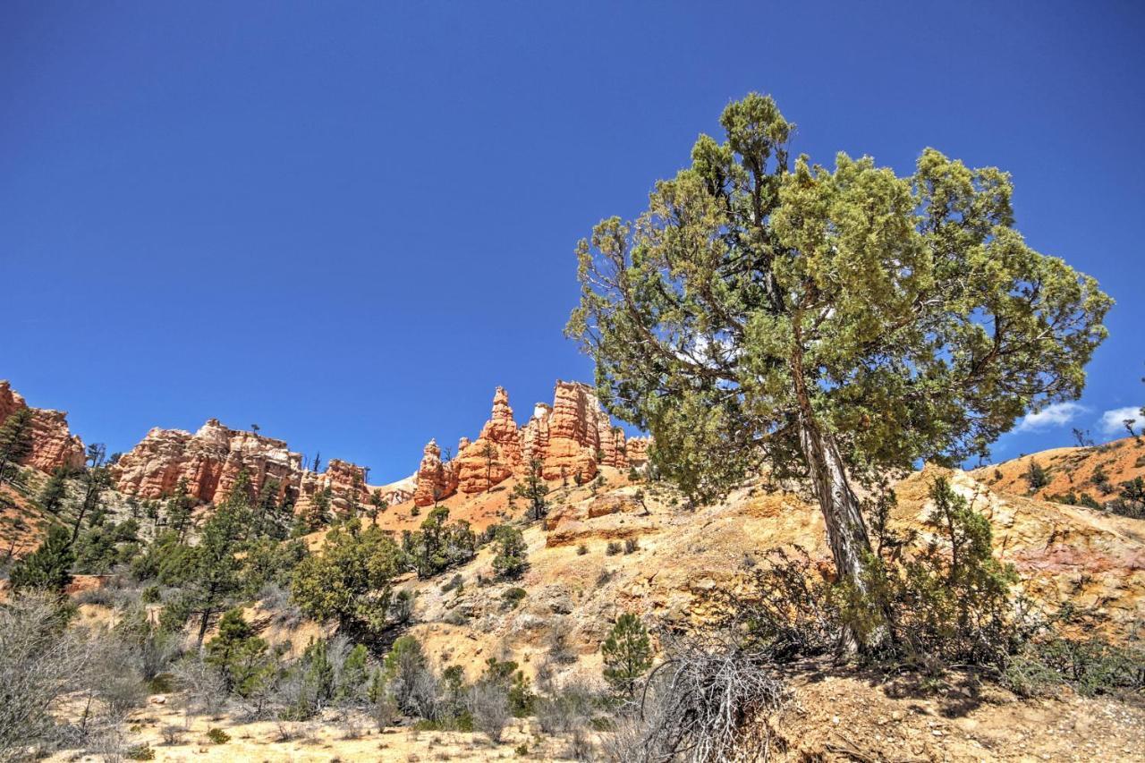 Bryce Canyon Area House With Mountain Views! Tropic Exterior photo